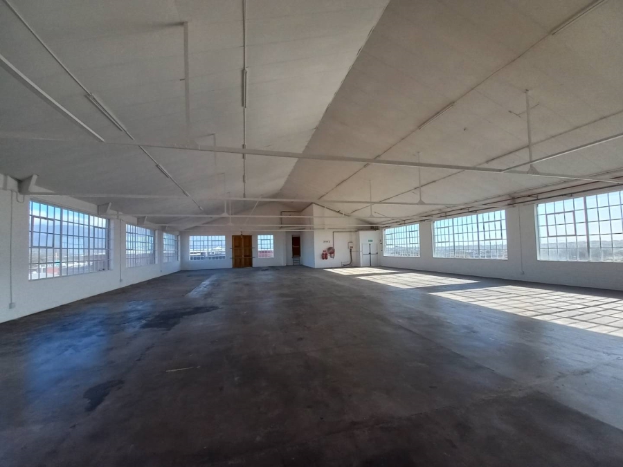 To Let commercial Property for Rent in Diep River Western Cape